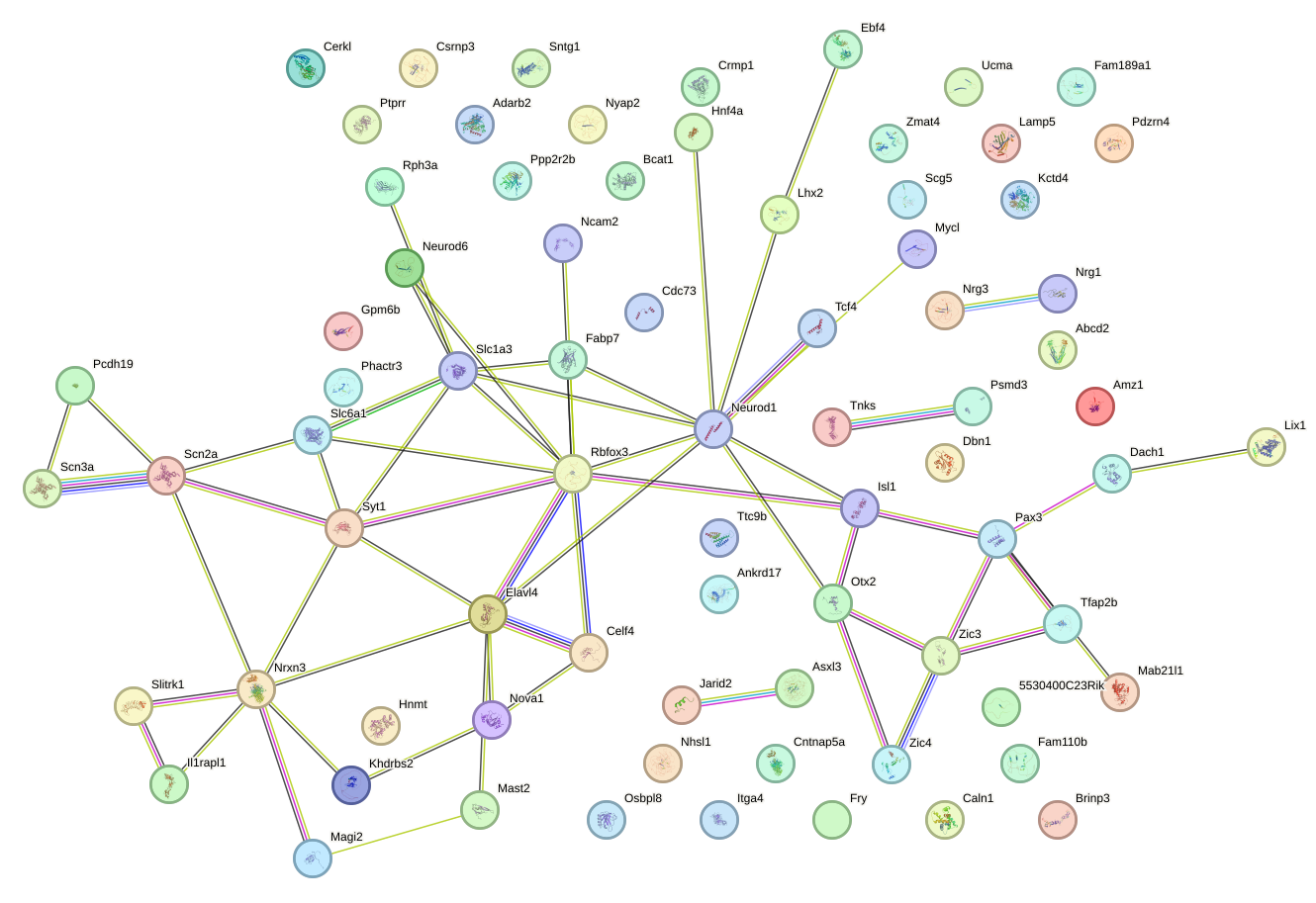 StringDB image