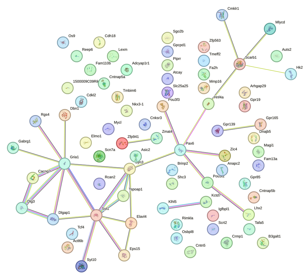 StringDB image