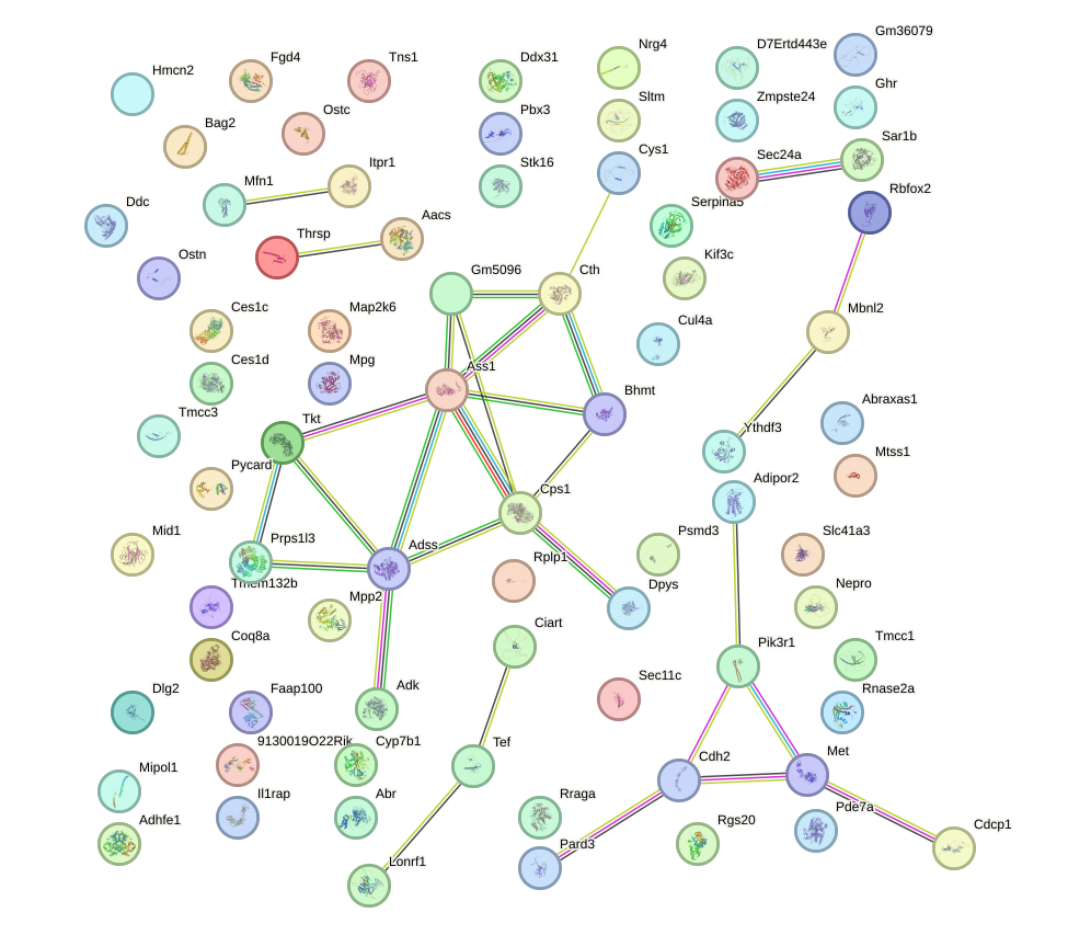 StringDB image