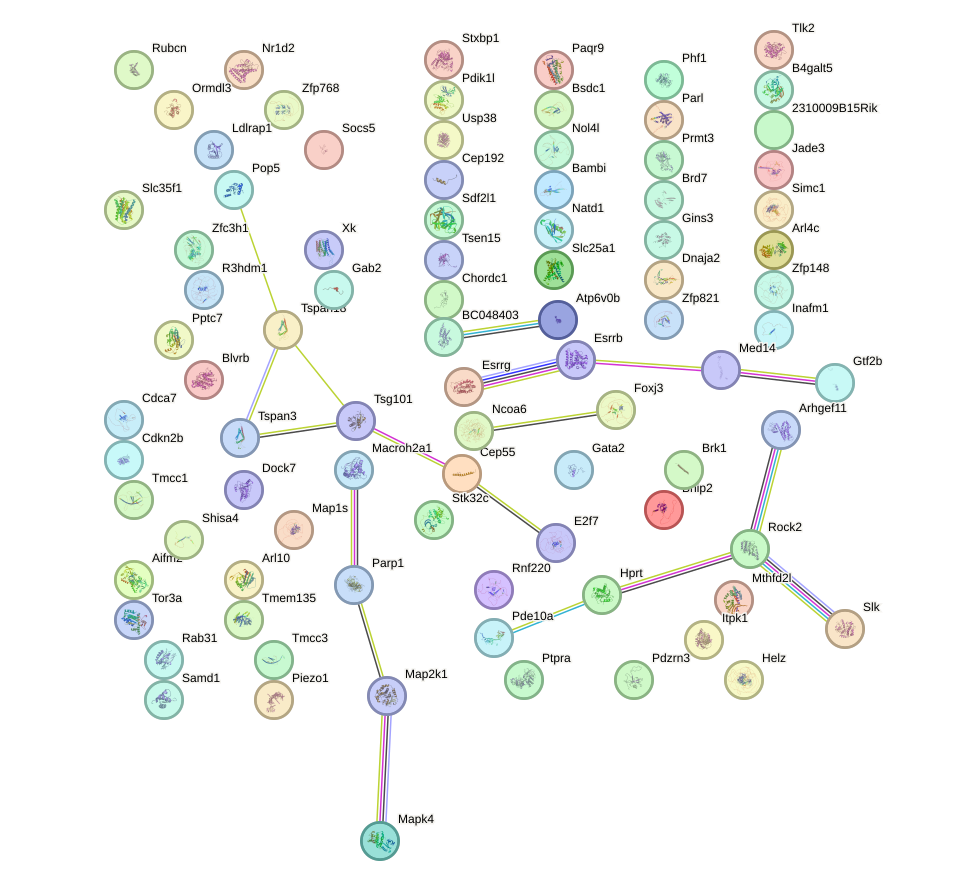 StringDB image