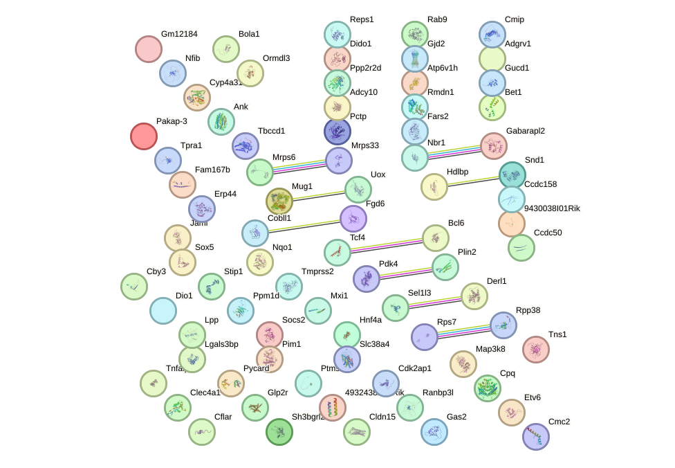 StringDB image