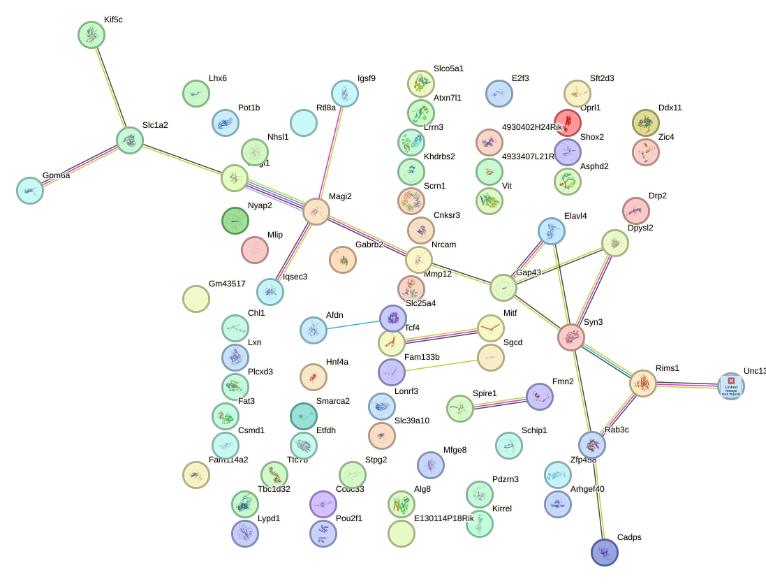 StringDB image