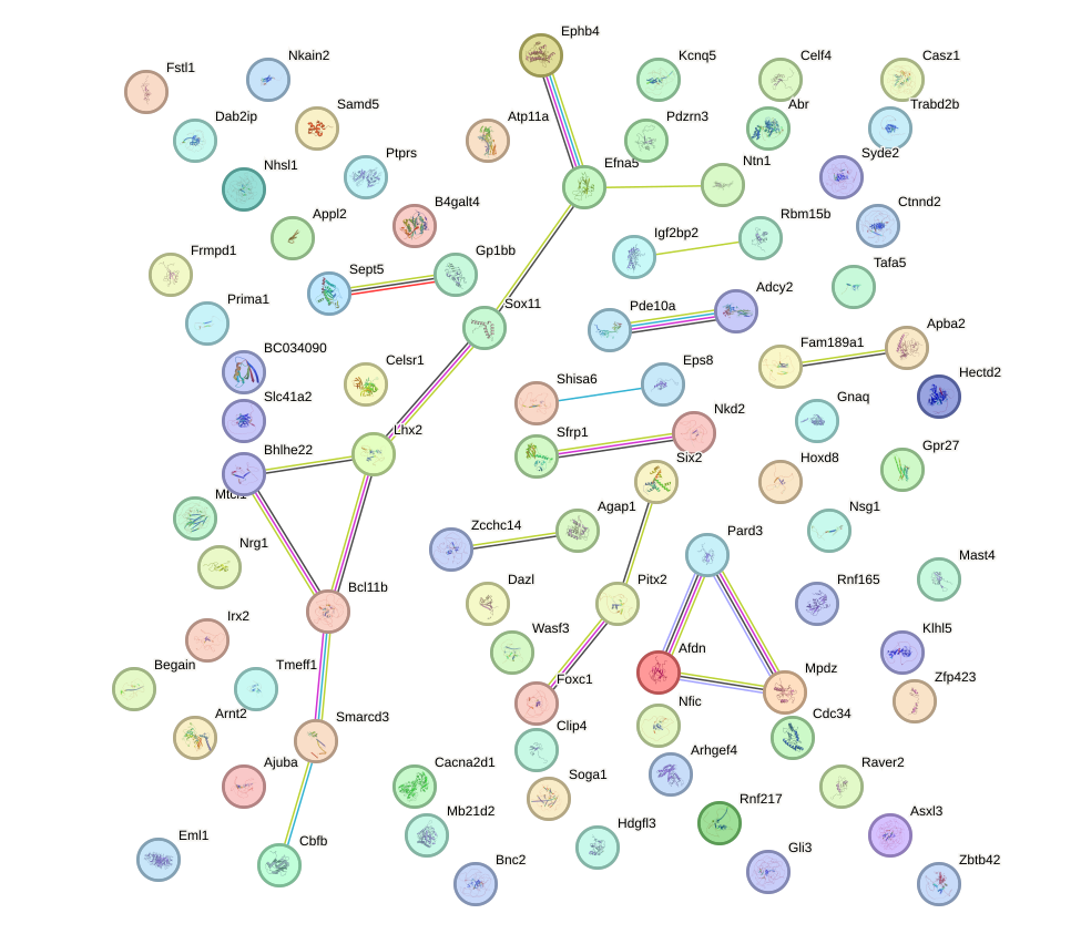 StringDB image