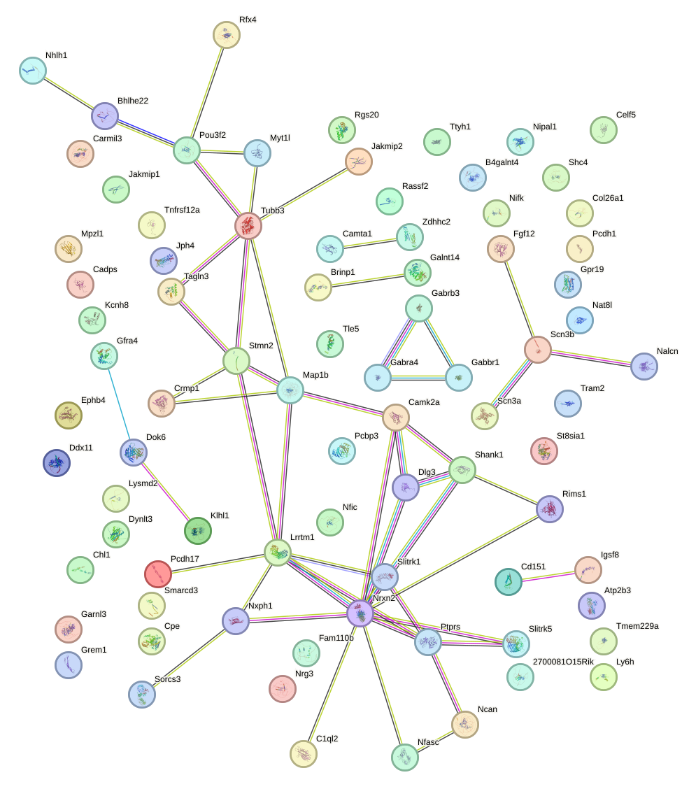 StringDB image