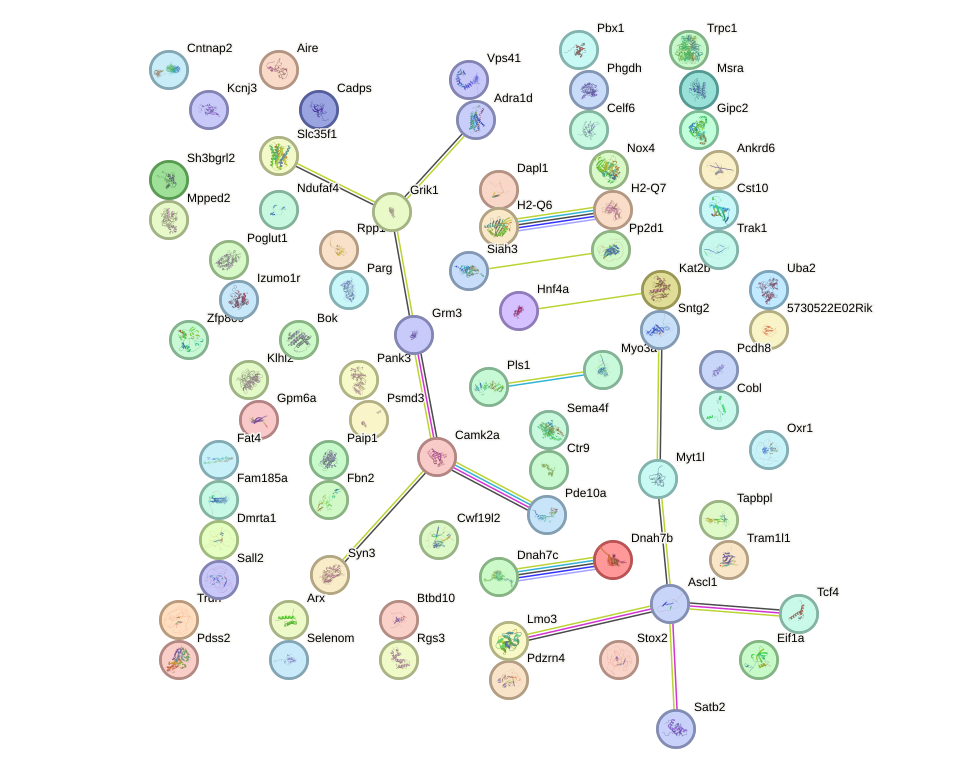 StringDB image