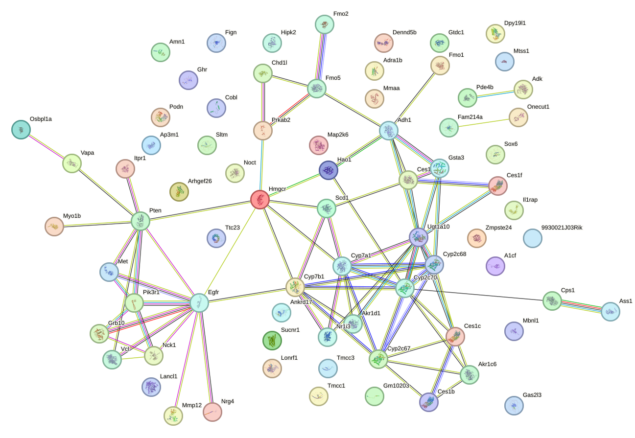 StringDB image