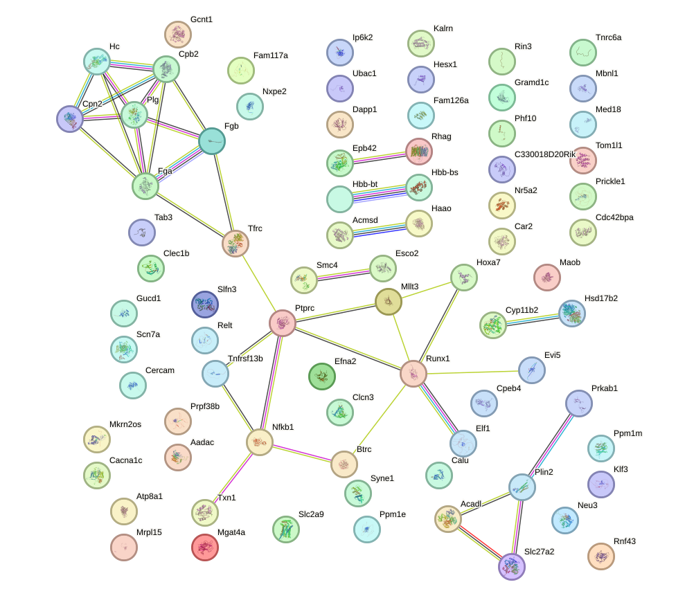 StringDB image