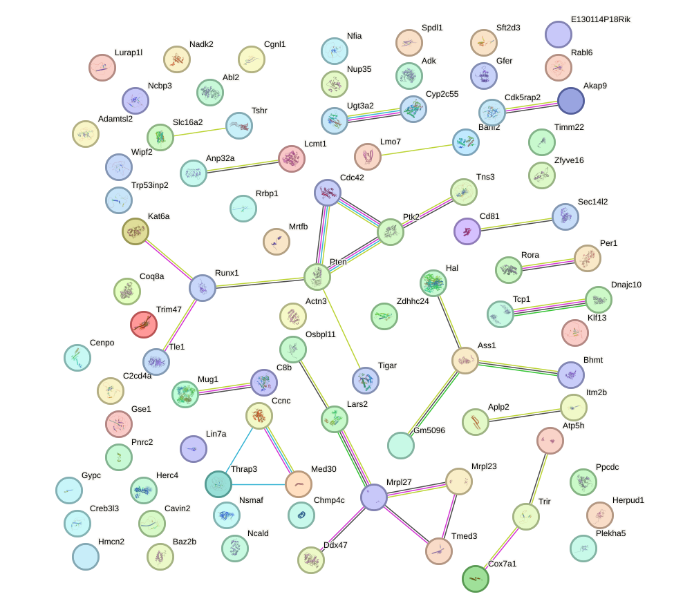 StringDB image