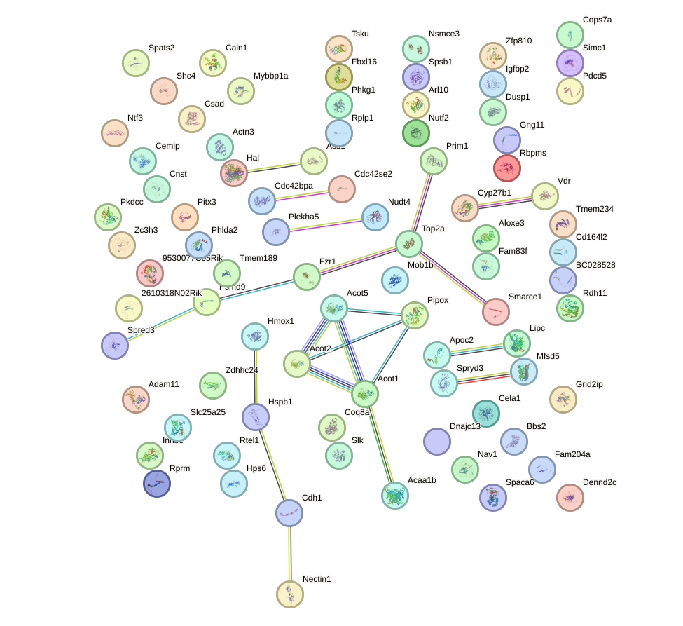 StringDB image