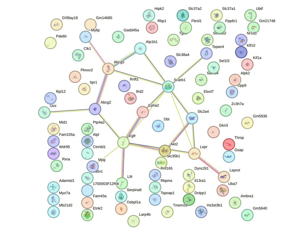 StringDB image