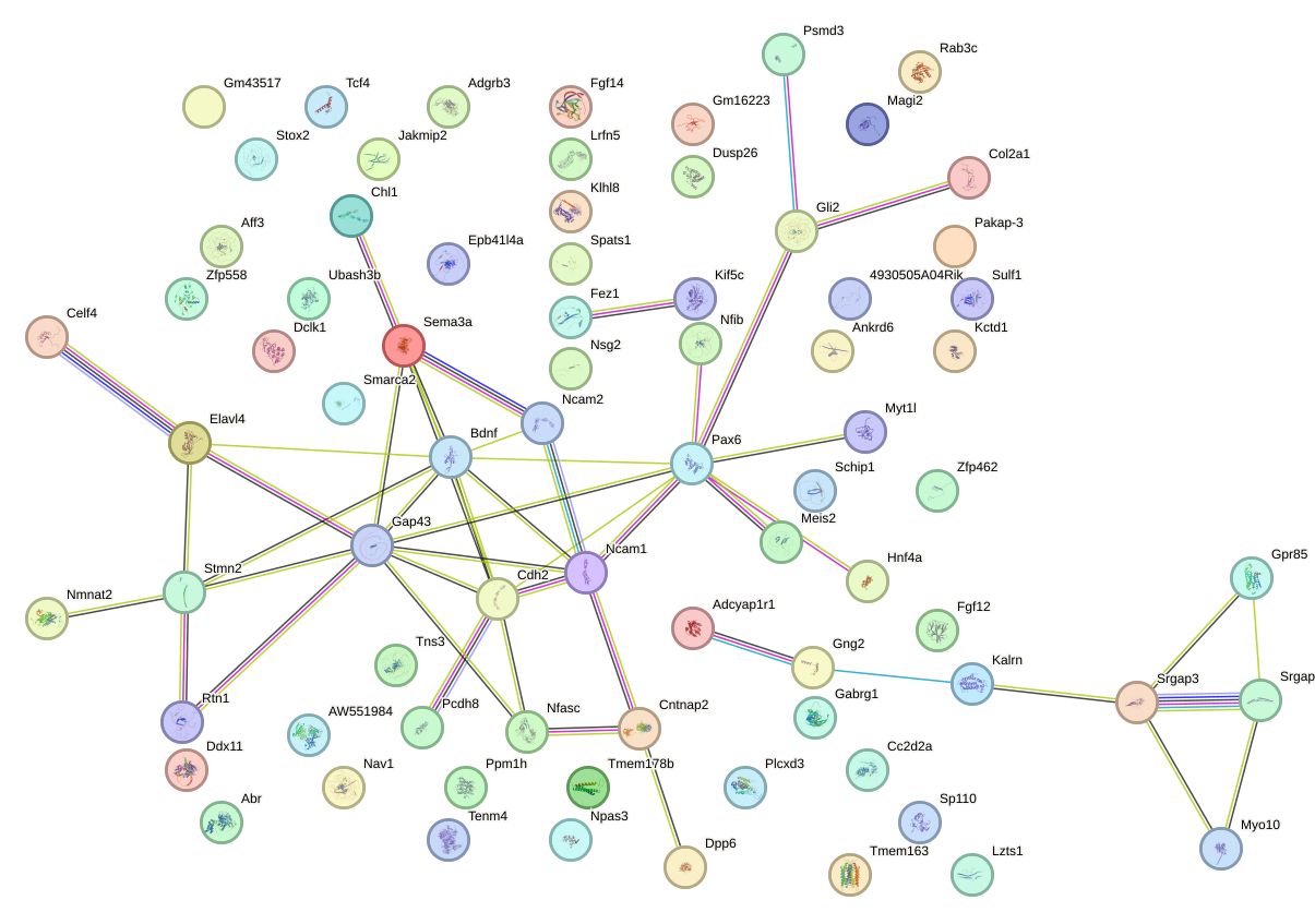 StringDB image