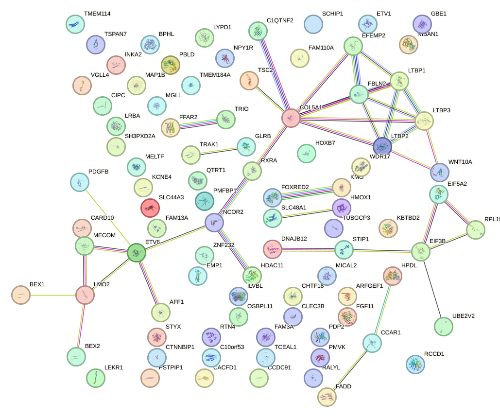 StringDB image