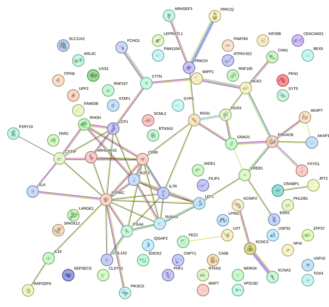 StringDB image