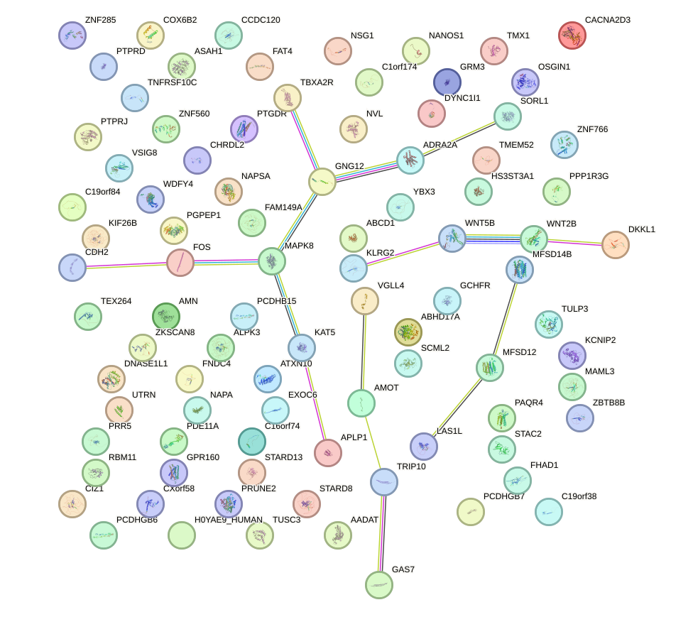 StringDB image