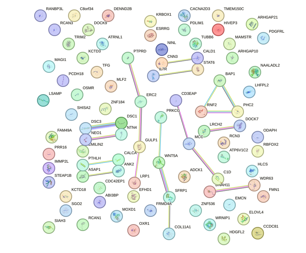 StringDB image