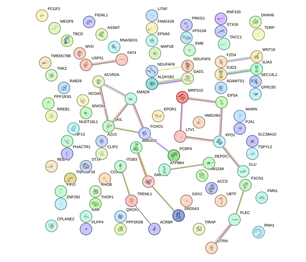 StringDB image