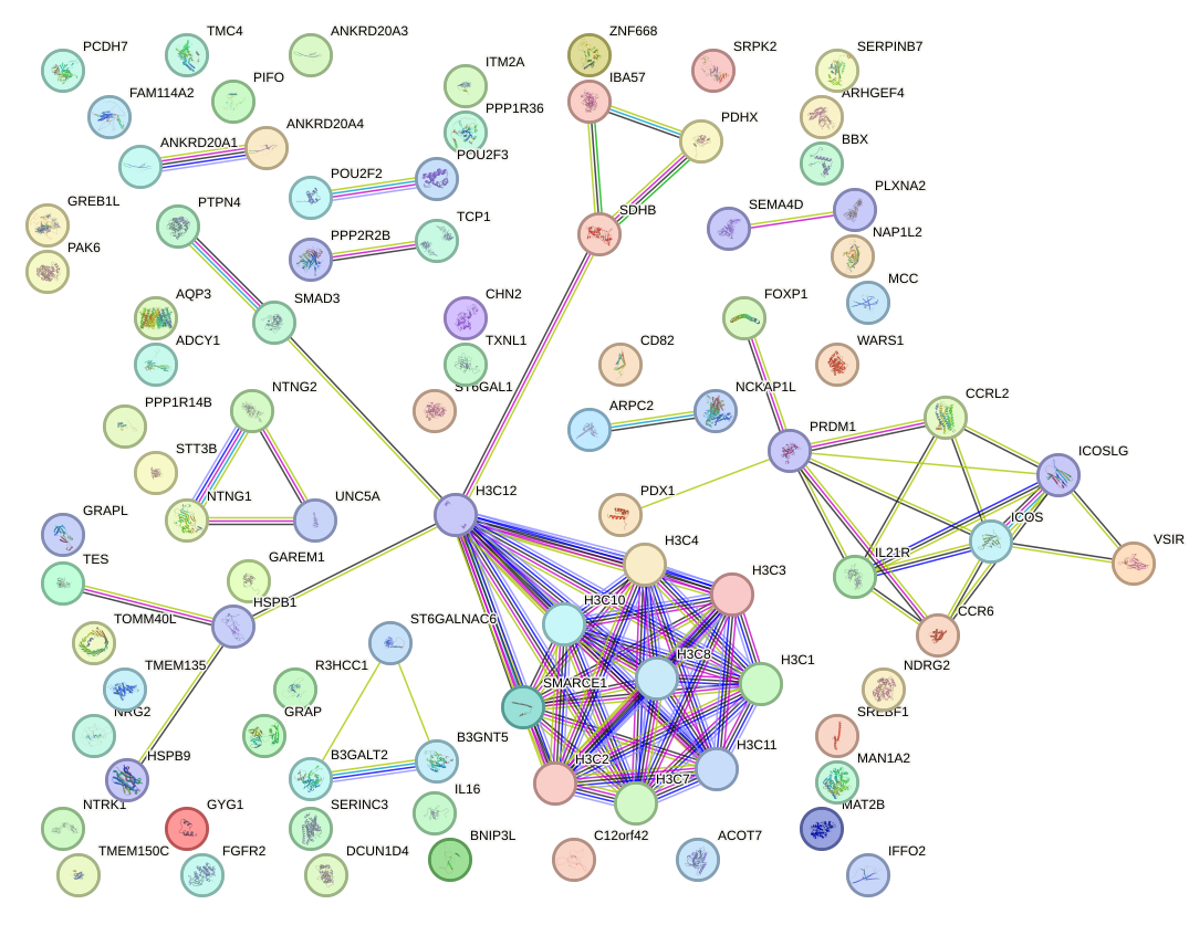 StringDB image