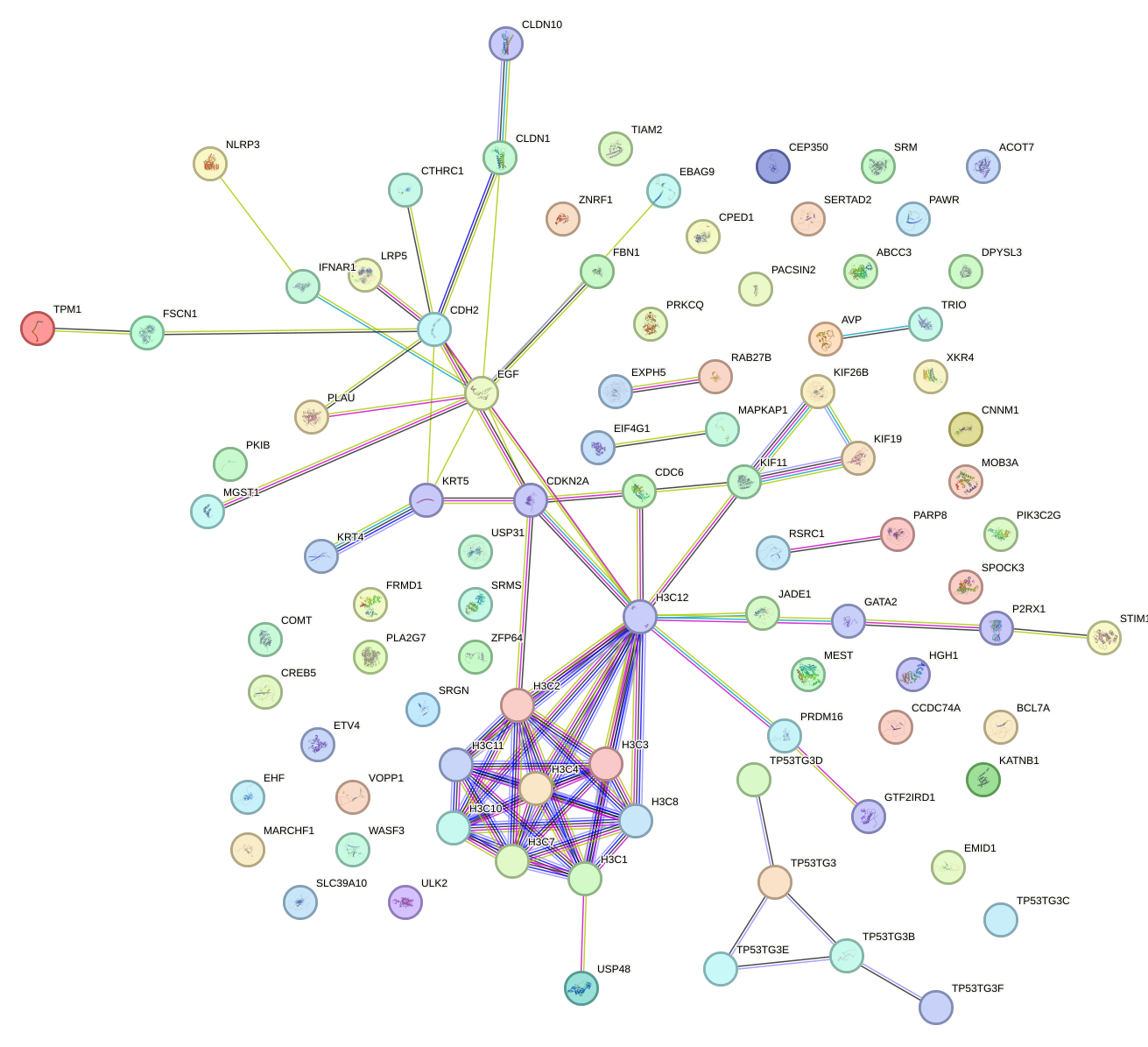 StringDB image