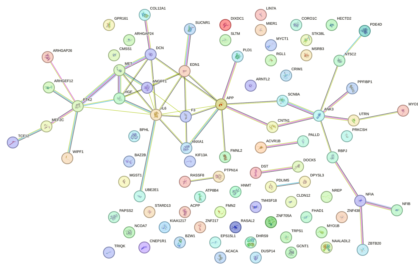 StringDB image