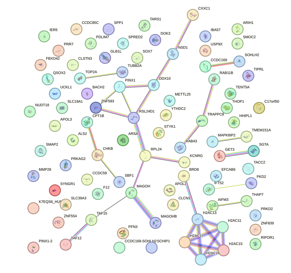 StringDB image