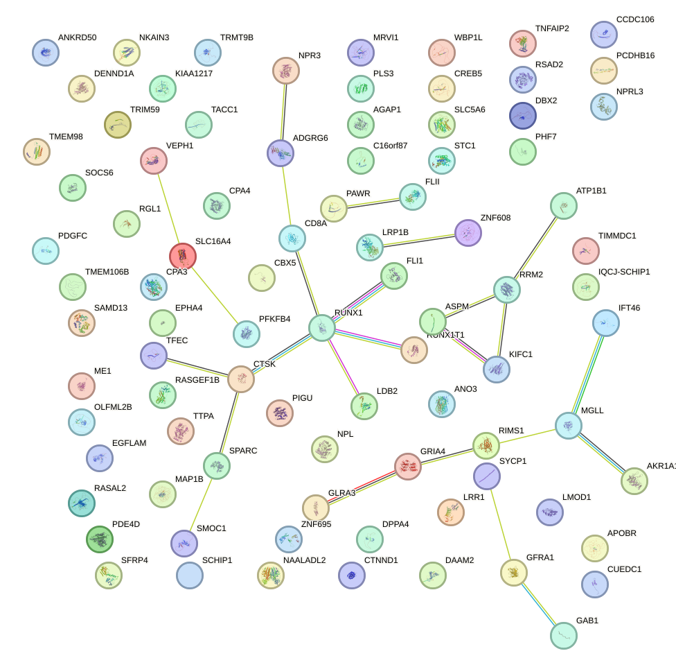 StringDB image