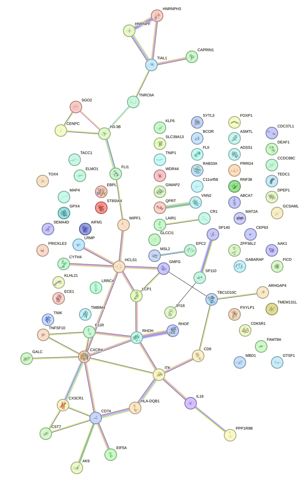 StringDB image