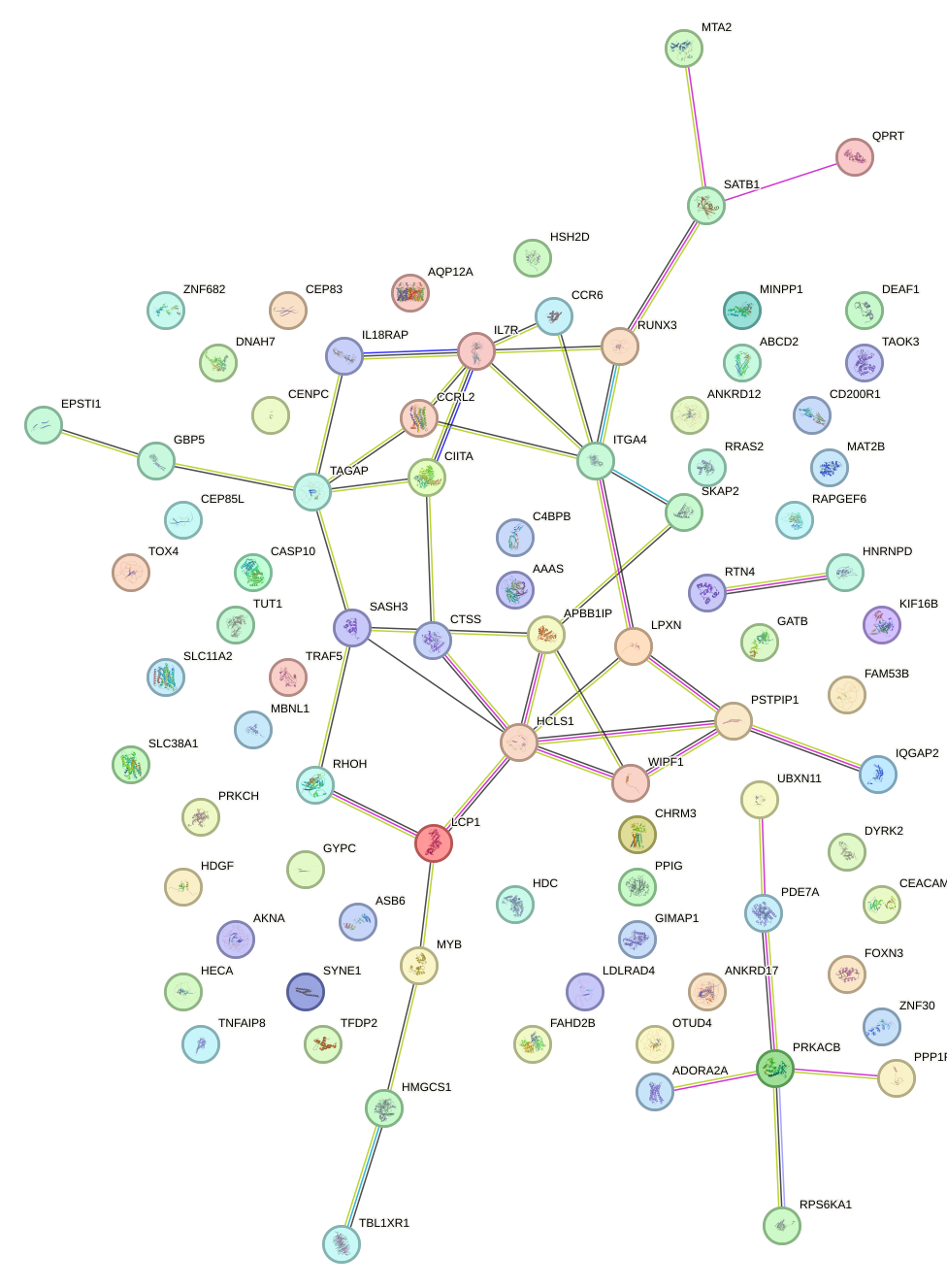 StringDB image