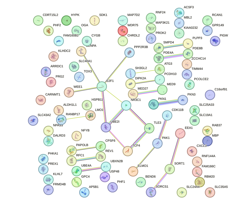 StringDB image