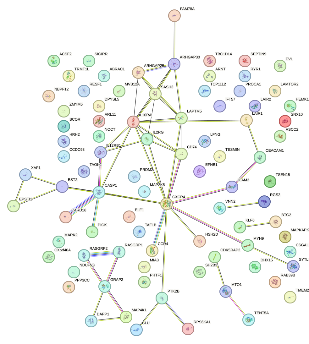 StringDB image