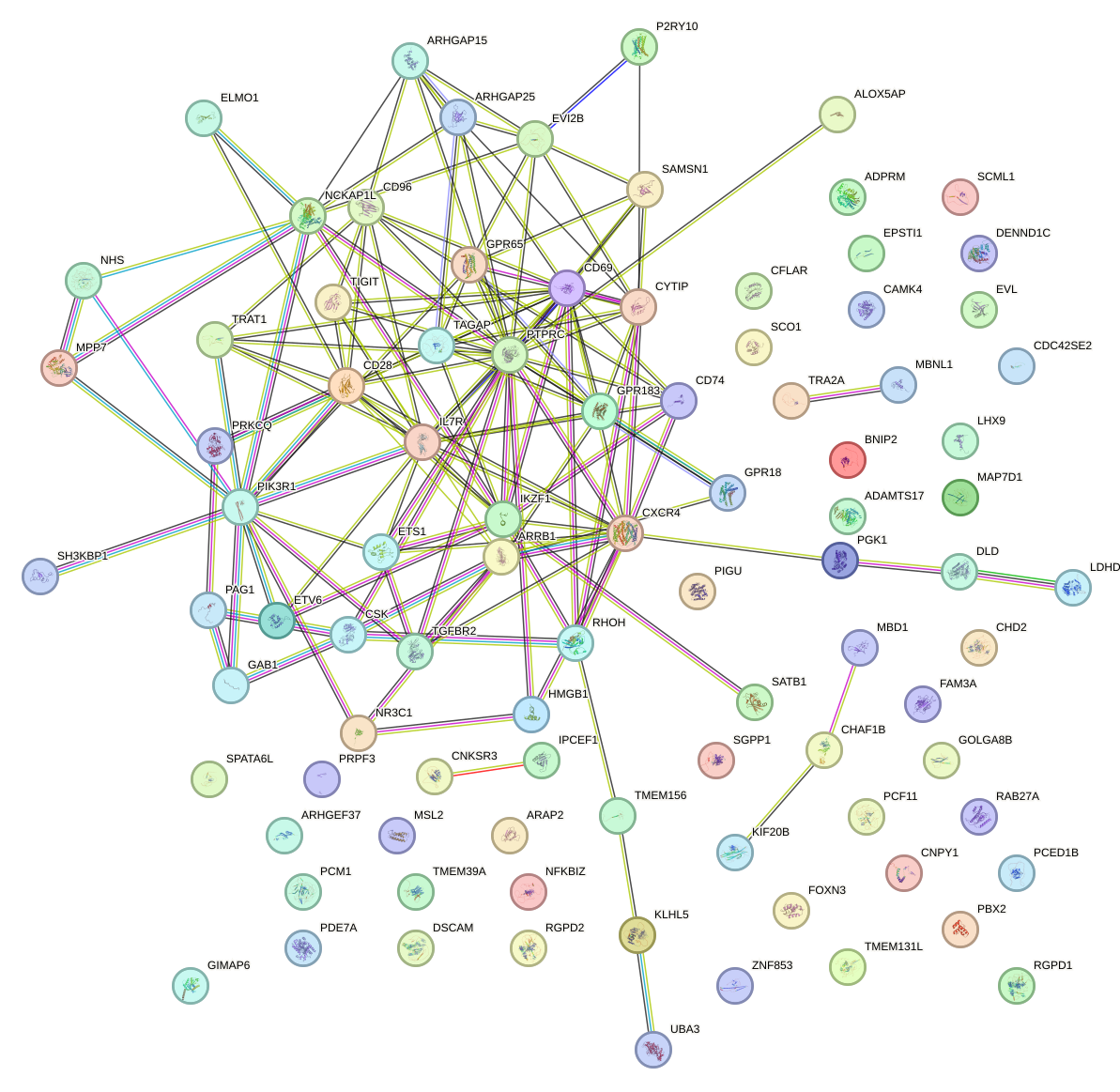 StringDB image