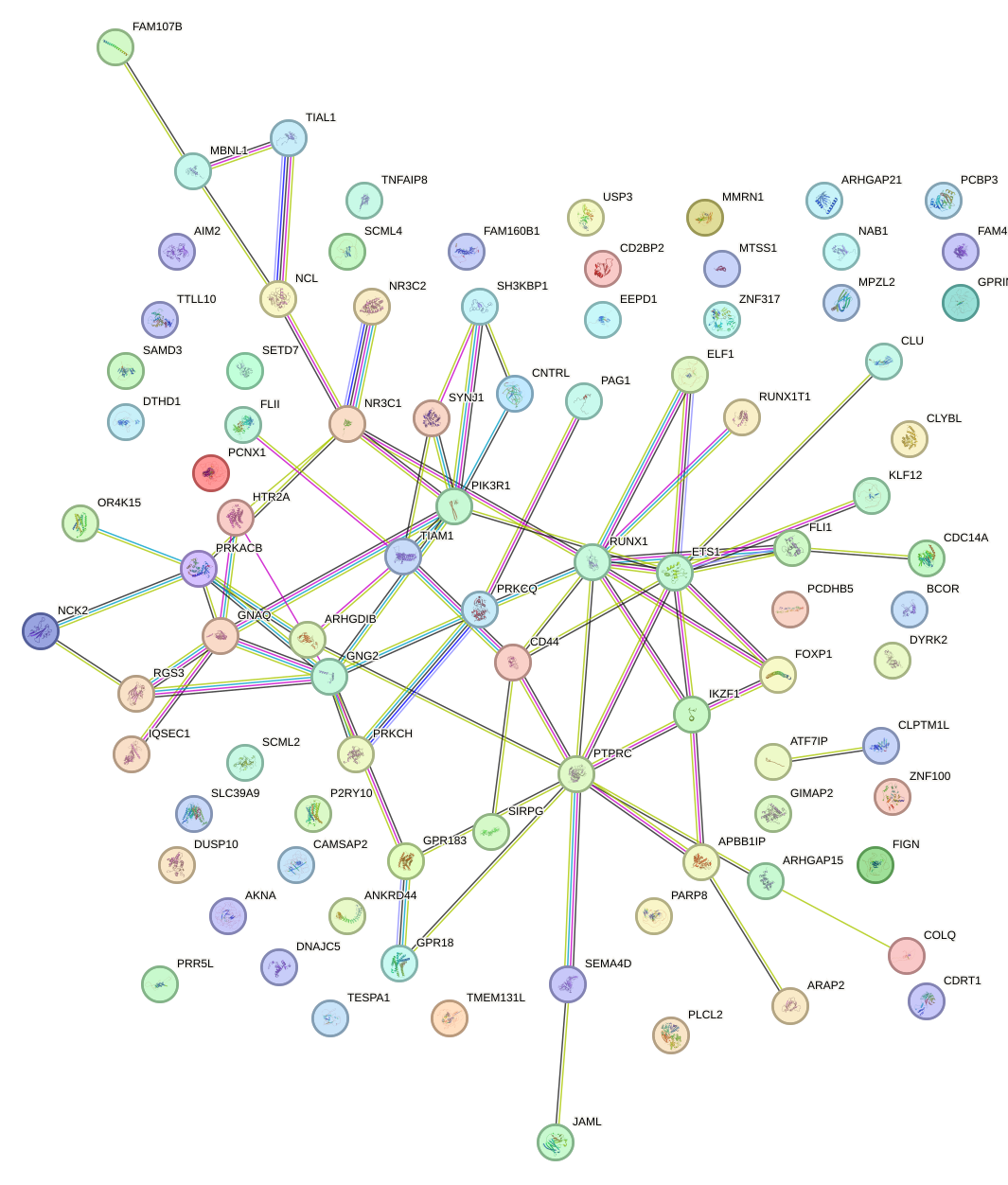 StringDB image