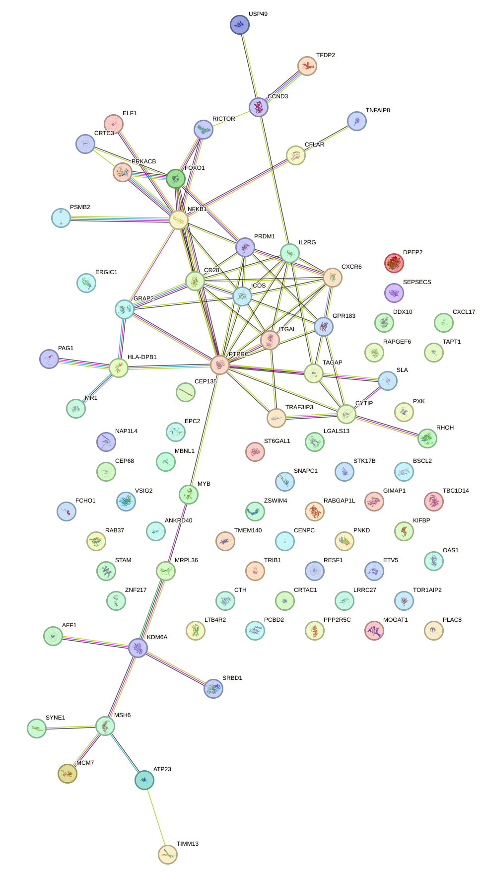 StringDB image