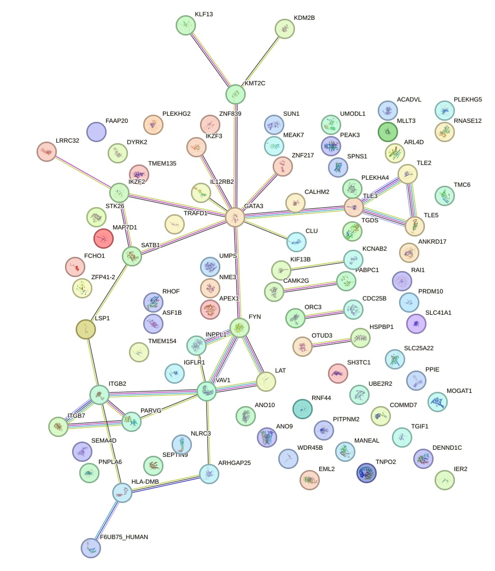 StringDB image