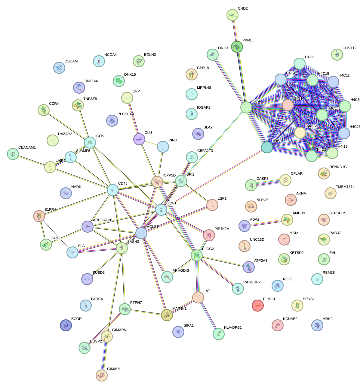 StringDB image