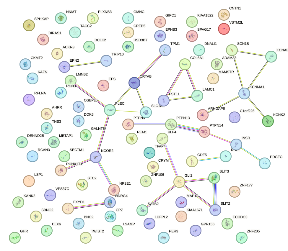 StringDB image