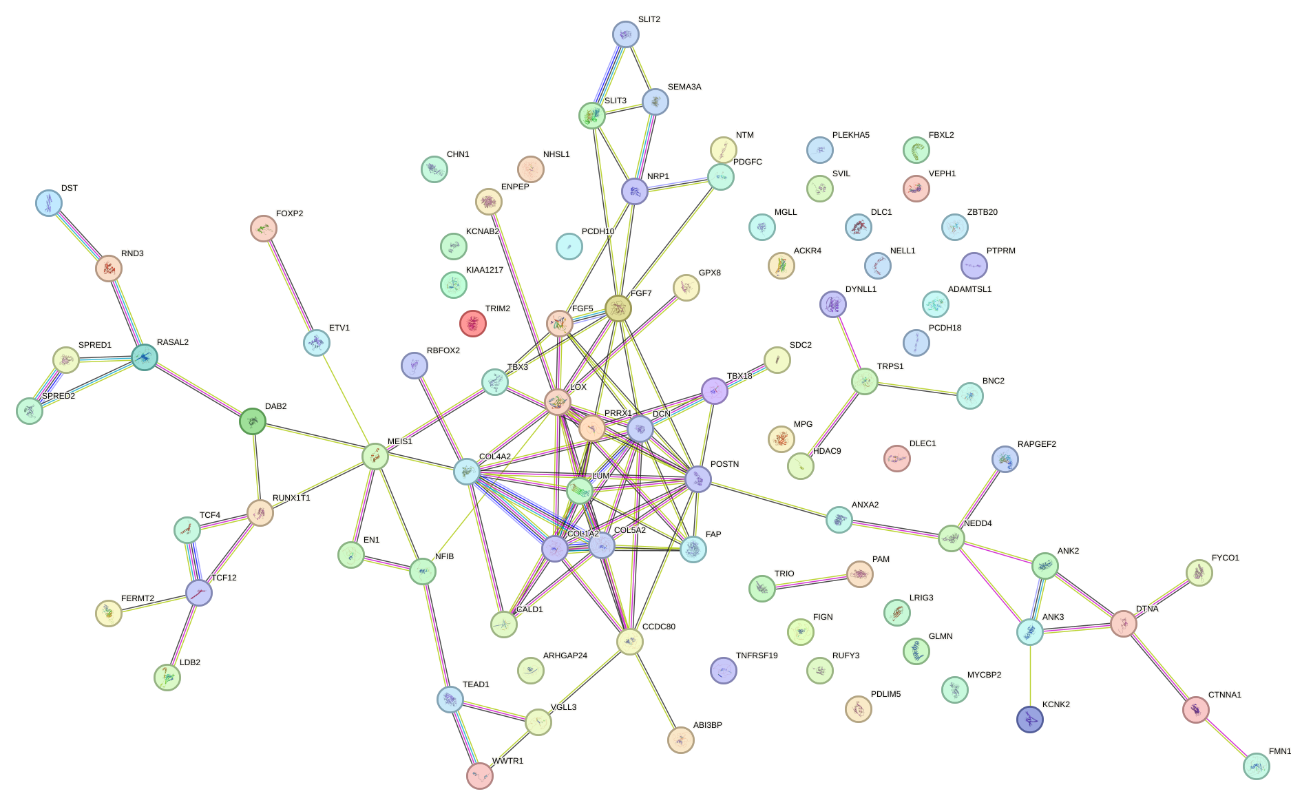 StringDB image