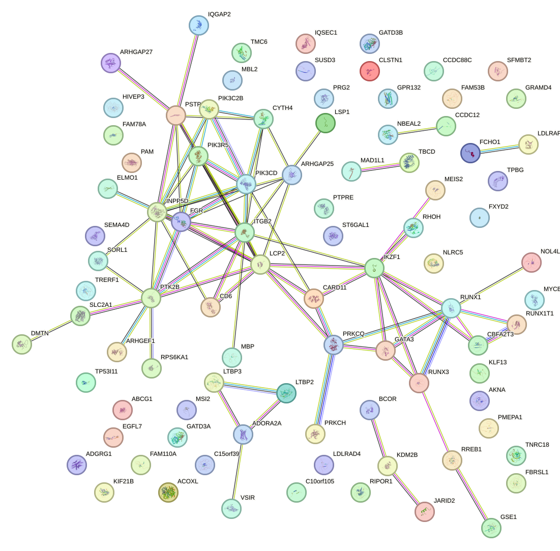 StringDB image