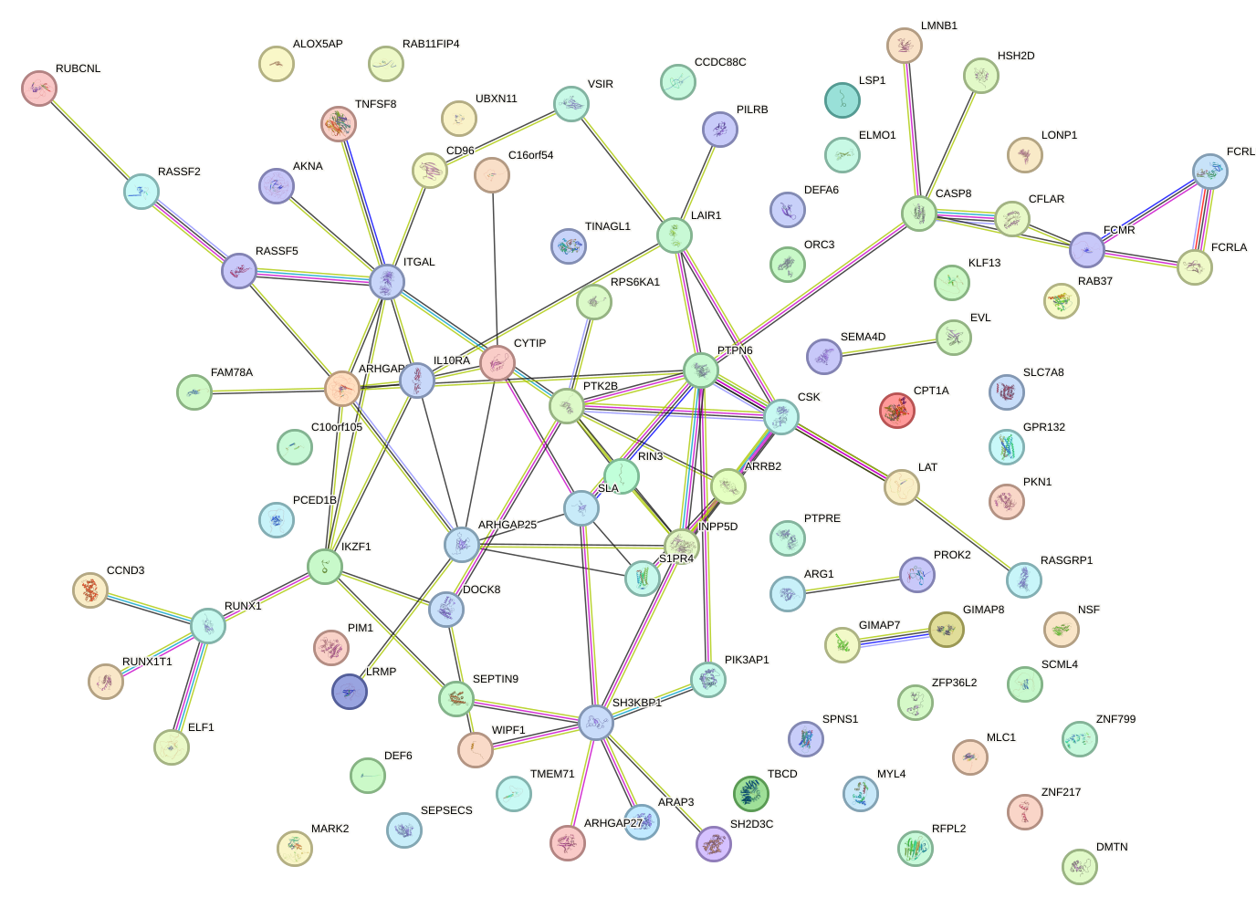 StringDB image