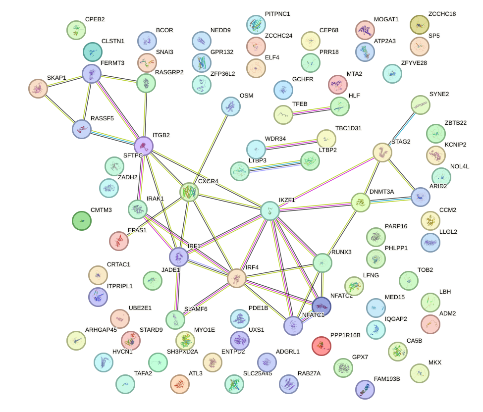 StringDB image