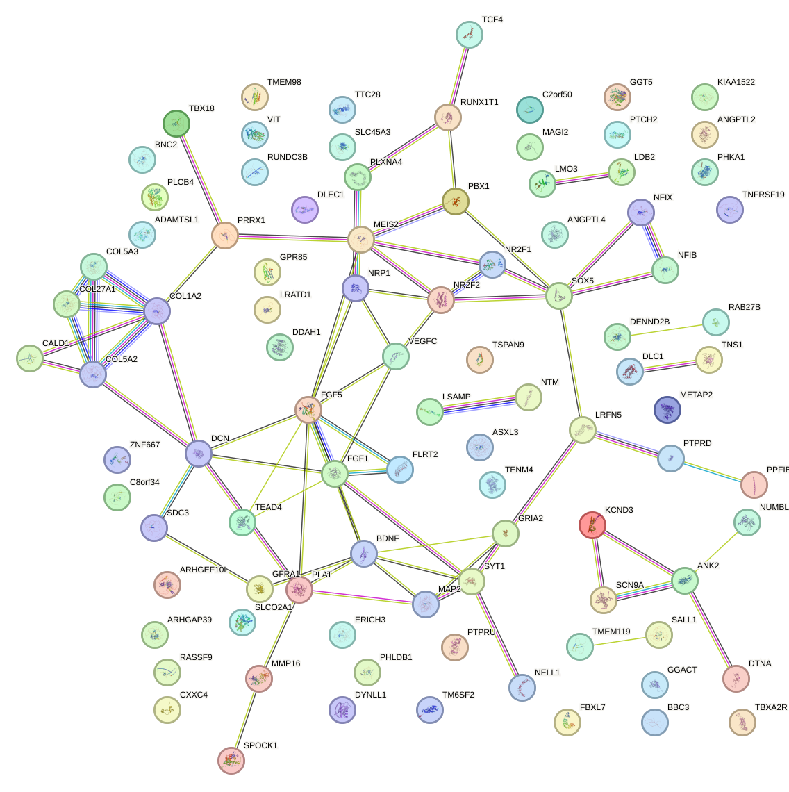 StringDB image