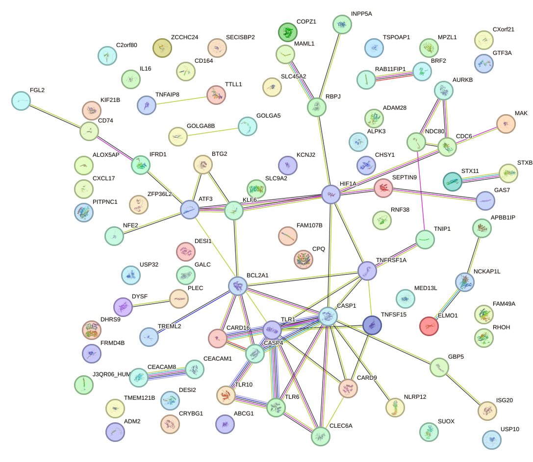 StringDB image