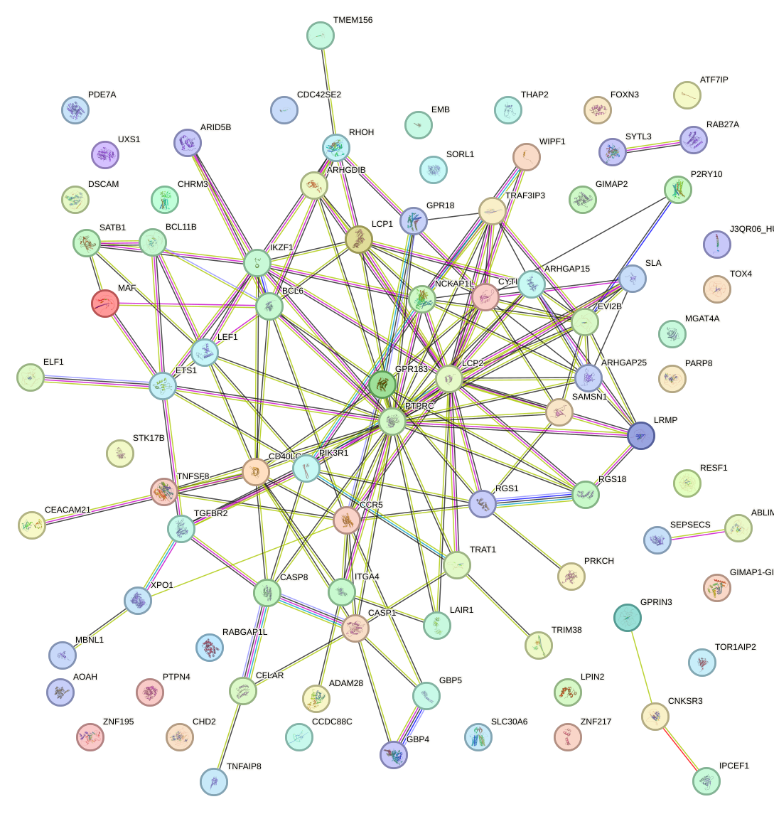 StringDB image