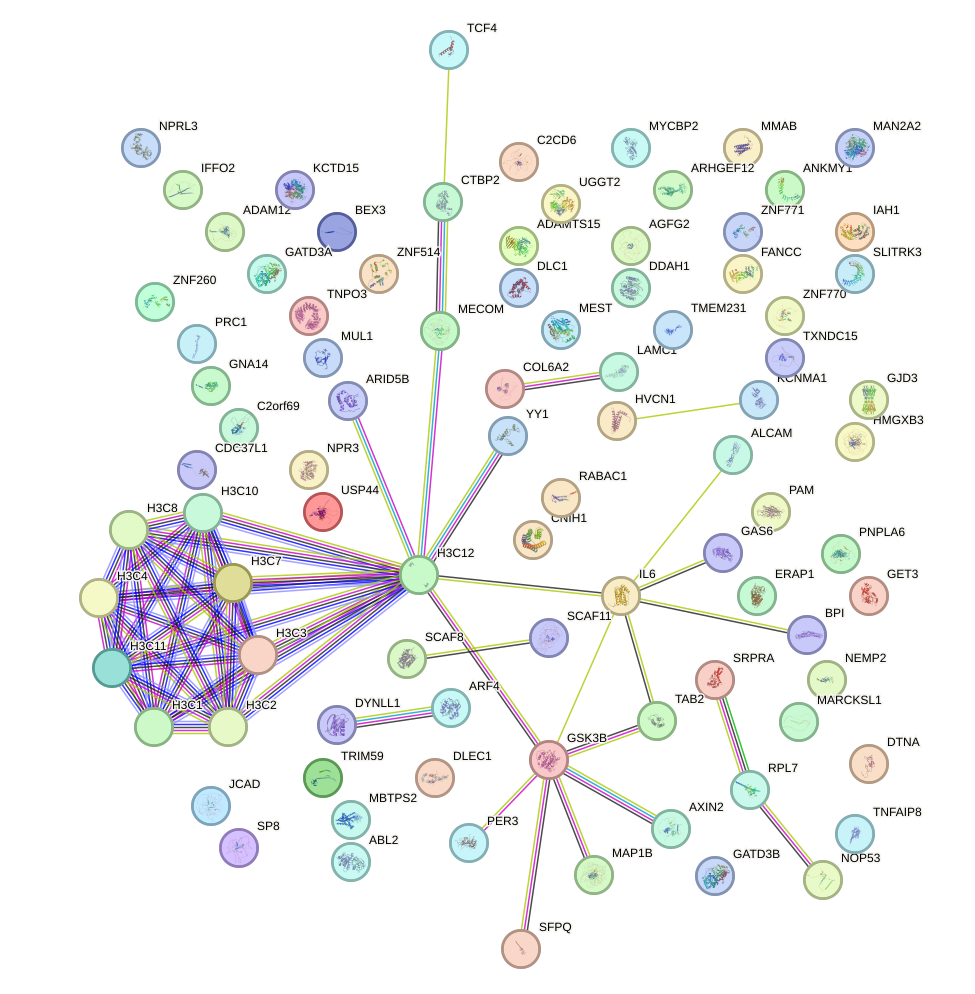 StringDB image