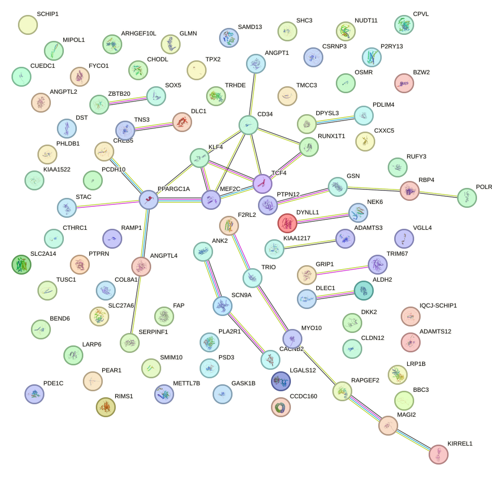 StringDB image