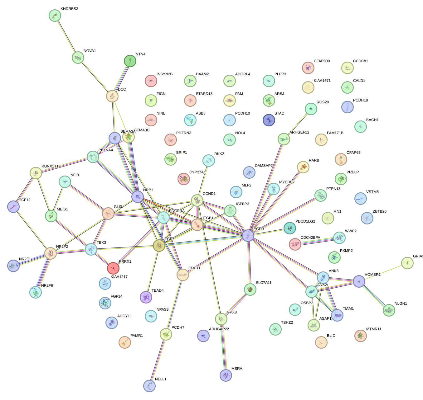 StringDB image