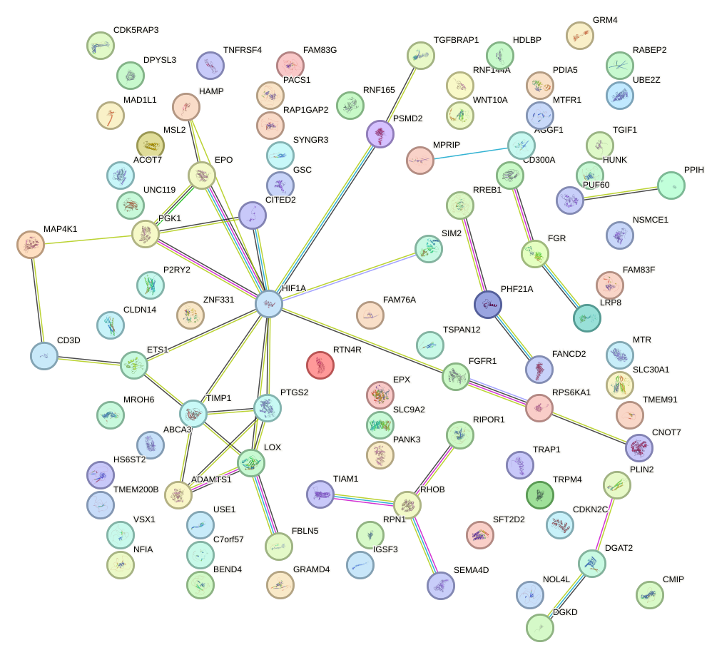 StringDB image