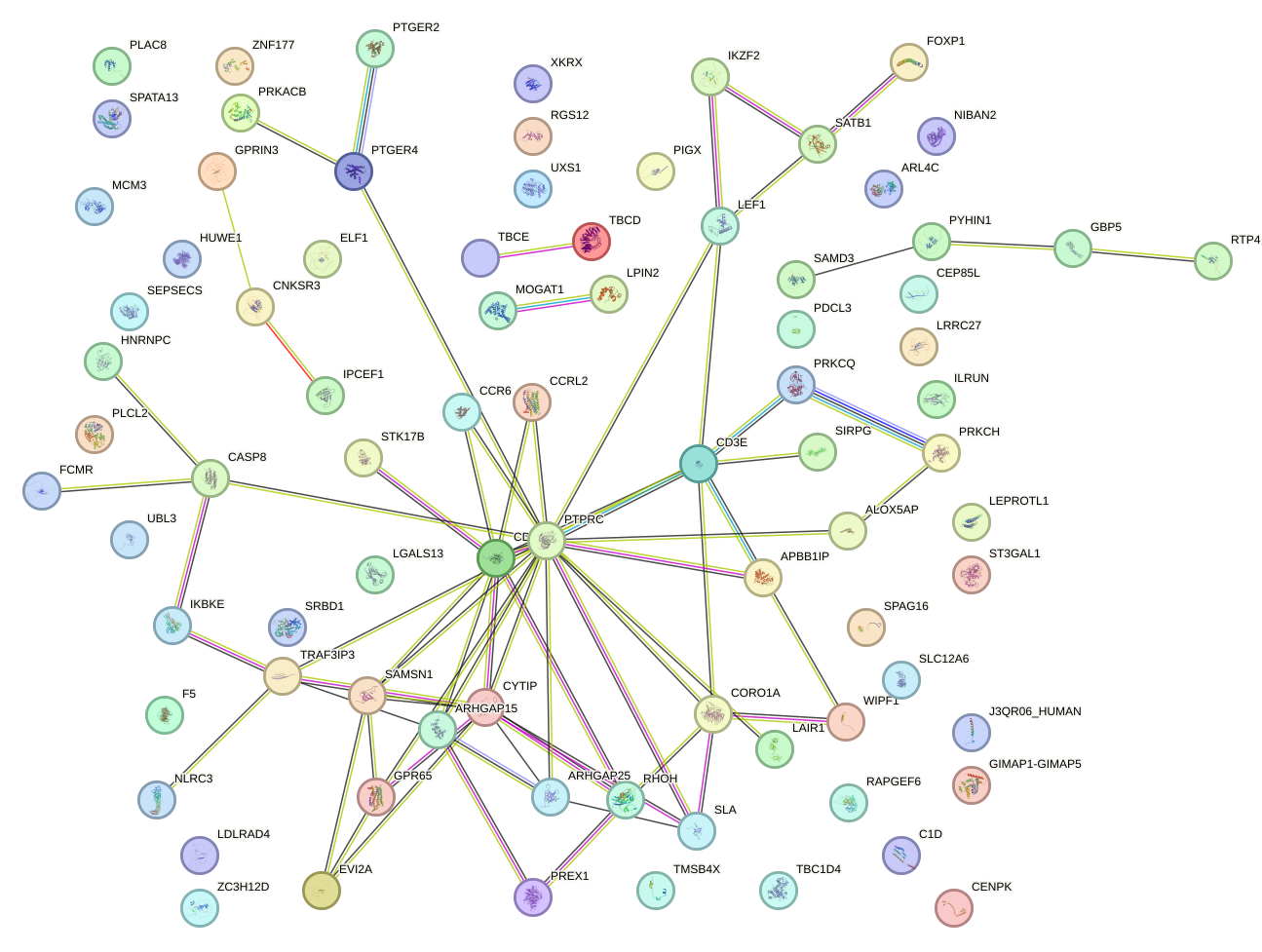 StringDB image