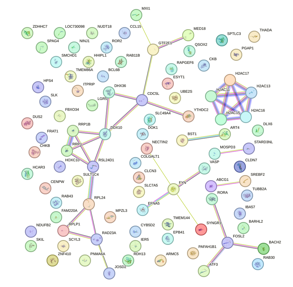 StringDB image