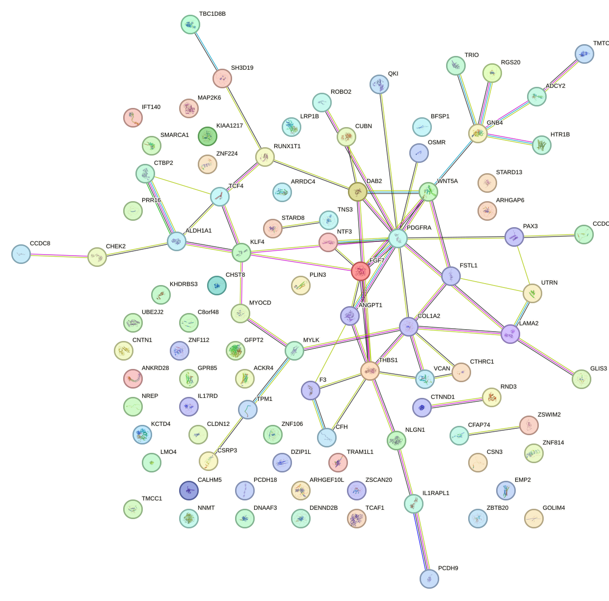 StringDB image