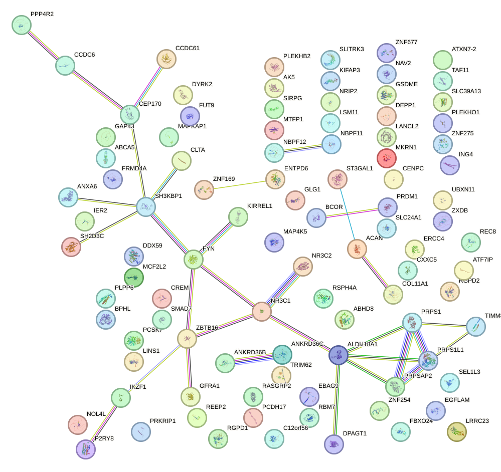 StringDB image